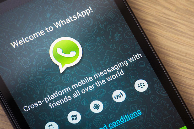 whatsapp-business-app